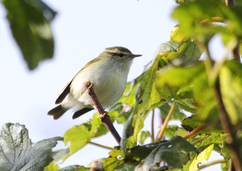 [ybw%255B7%255D.jpg]