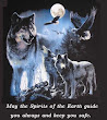 Wiccan Spirits