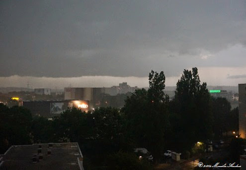 regen1 regen1