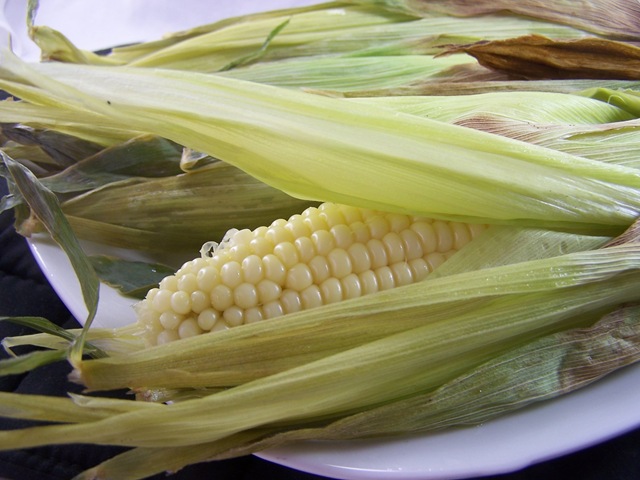 [100_8137%255B3%255D.jpg]
