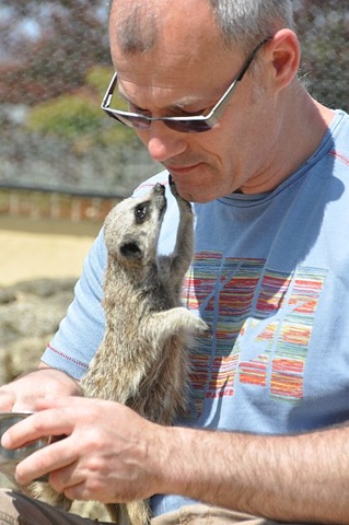 [MeerkatgazingintoSteveseyesDSC_10727.jpg]