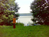 DSC04553.JPG Photo