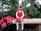 Polly by the Pointsettias