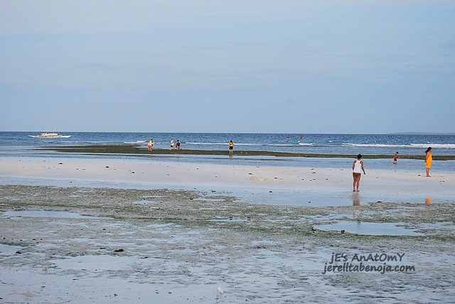 [DSC_0680%255B2%255D.jpg]