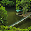 Rainforest-discovery-center-sandakan-01.jpg