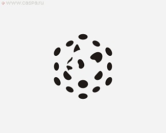 6
