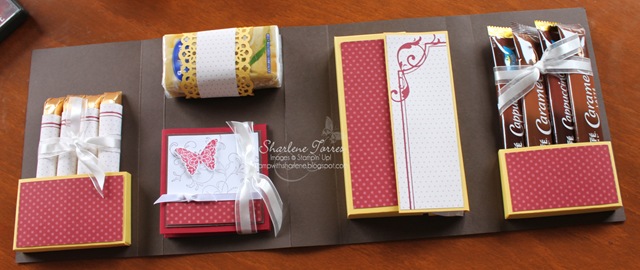 [PMS%2520box%2520inside%255B4%255D.jpg]