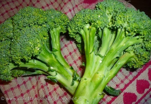 [Broccoli%255B2%255D.jpg]