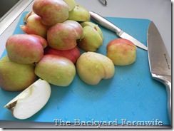 super easy applesauce - The Backyard Farmwife