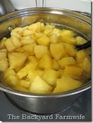 Canning Fresh Pineapple - The Backyard Farmwife