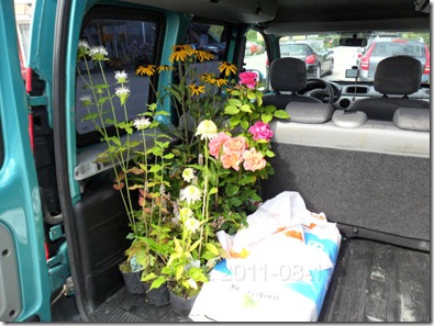 Inhandladeplantor Inhandladeplantor