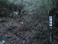 DSC_0069.JPG Photo