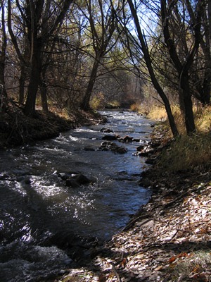 [bear%2520creek%255B2%255D.jpg]