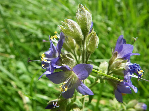 Imgp6516