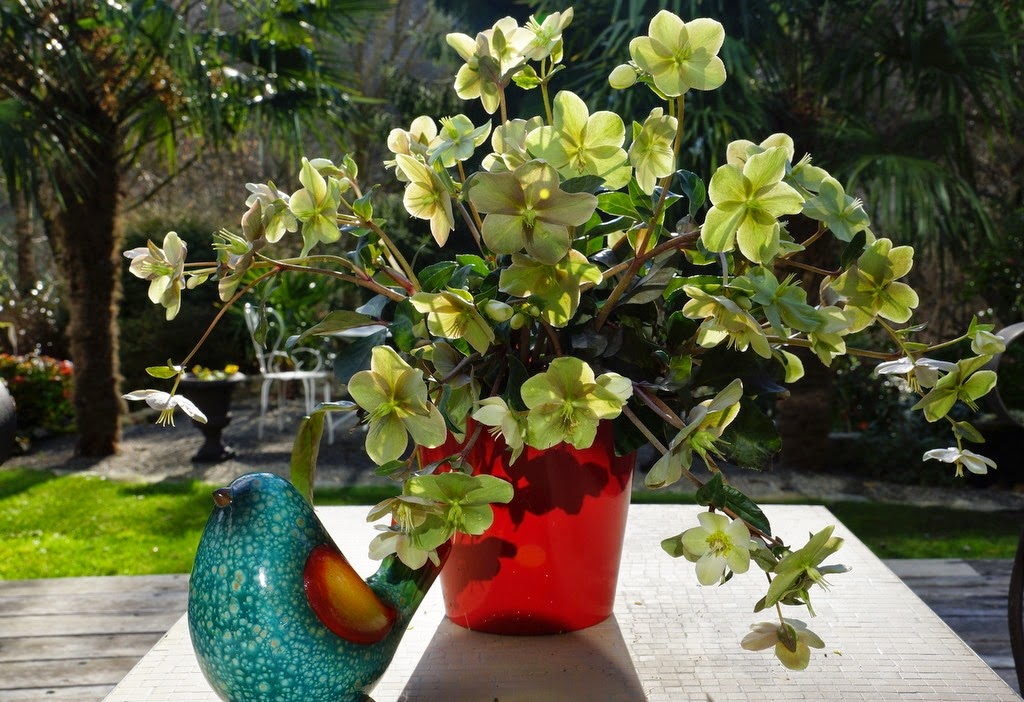 [DSC04191%255B3%255D.jpg]