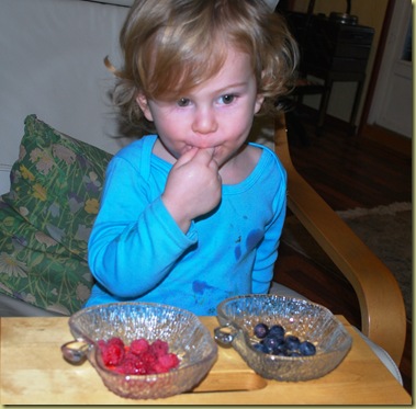 2012-01 Leander with Blueberries and Raspberries