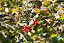 DSC_0081.JPG