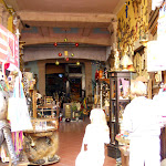 DSCN7126.JPG