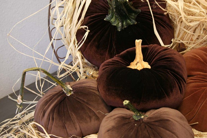 [pumpkins3%255B1%255D.jpg]