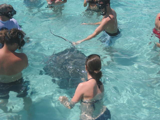 [IMG_1826%255B2%255D.jpg]