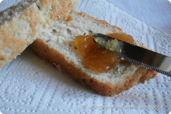 pan brioches senza impasto no-knead succo mela apple juice sweet bread ricotta cheese semi lino flex seed olio extravergine oliva oil extravirgin olive evo senza uova senza burro no eggs no butter without pan brioches senza impasto no-knead succo mela apple juice sweet bread ricotta cheese semi lino flex seed olio extravergine oliva oil extravirgin olive evo senza uova senza burro no eggs no butter without