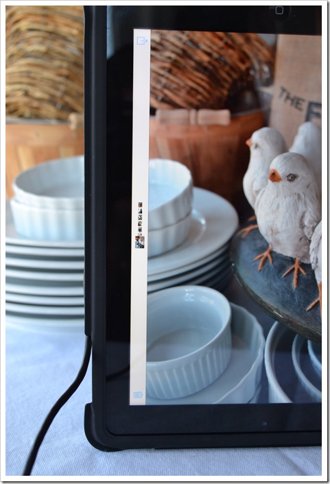 ipad birdy Photo | Lisa Porter for the Lisa Porter Collection ipad birdy Photo | Lisa Porter for the Lisa Porter Collection