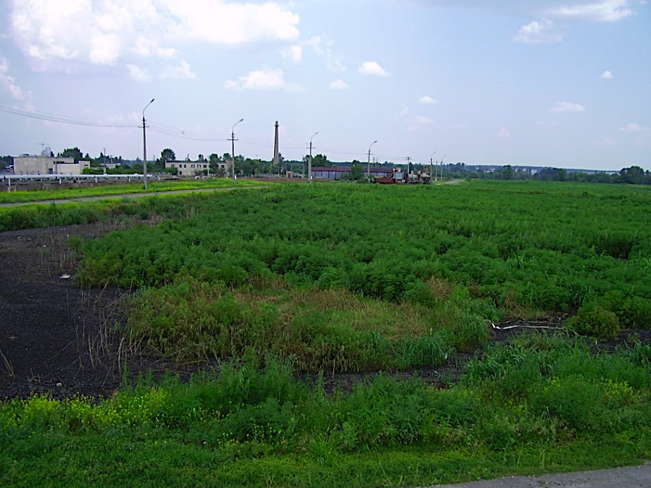 P7170041.JPG
