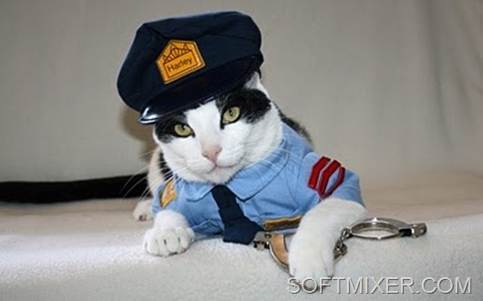 crazy-cat-fashions-corrupt-cop--large-msg-128933303431