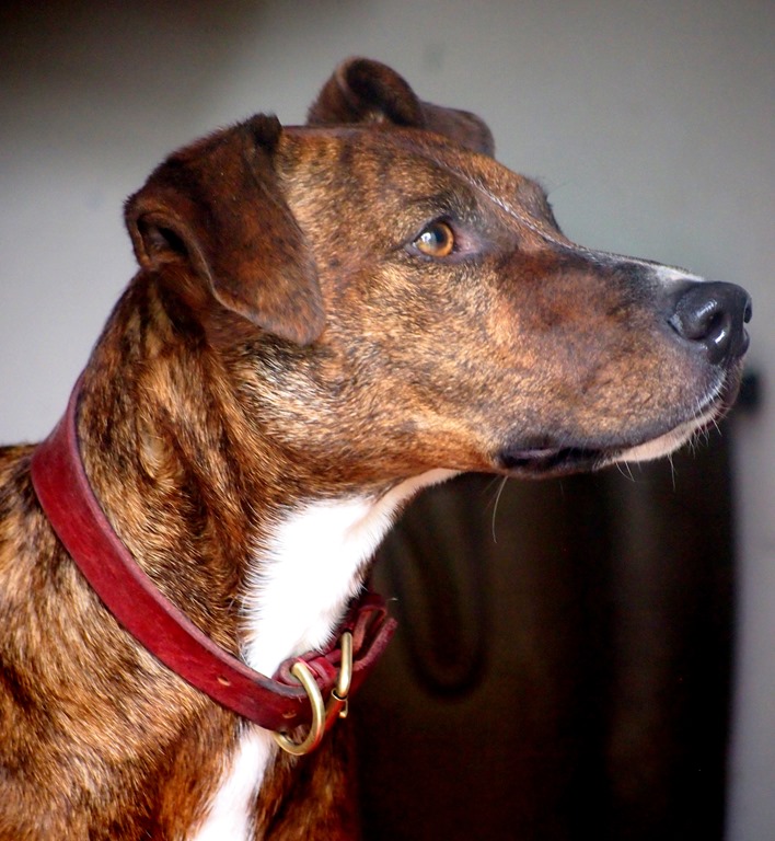 [16%2520June%252021%252013-06-2013%252011-30-15%255B3%255D.jpg]