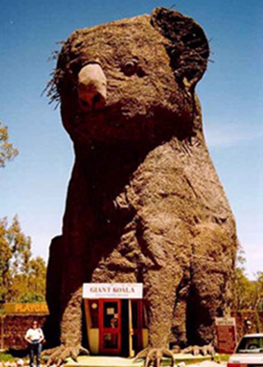 big_koala_DADSWELL BRIDGE