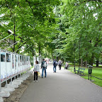 P1040392.jpg