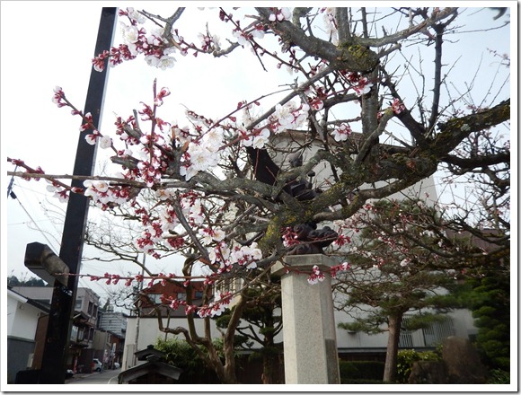 2013OsakaTrip_Day5_11