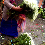 pasarbunga-05.jpg