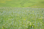DSC03602.JPG