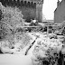 neige 2010