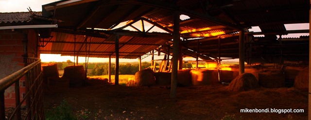 P5303247-50_stitch