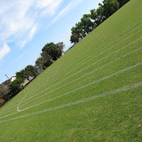 Auckland03 Auckland03