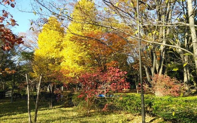 [IMG_20131130_140018%255B4%255D.jpg]