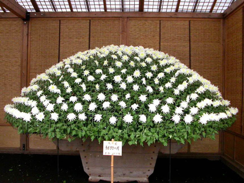 The art of Gardening