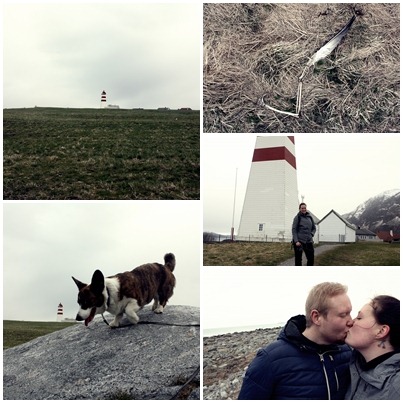 [alnes%2520collage%255B4%255D.jpg]