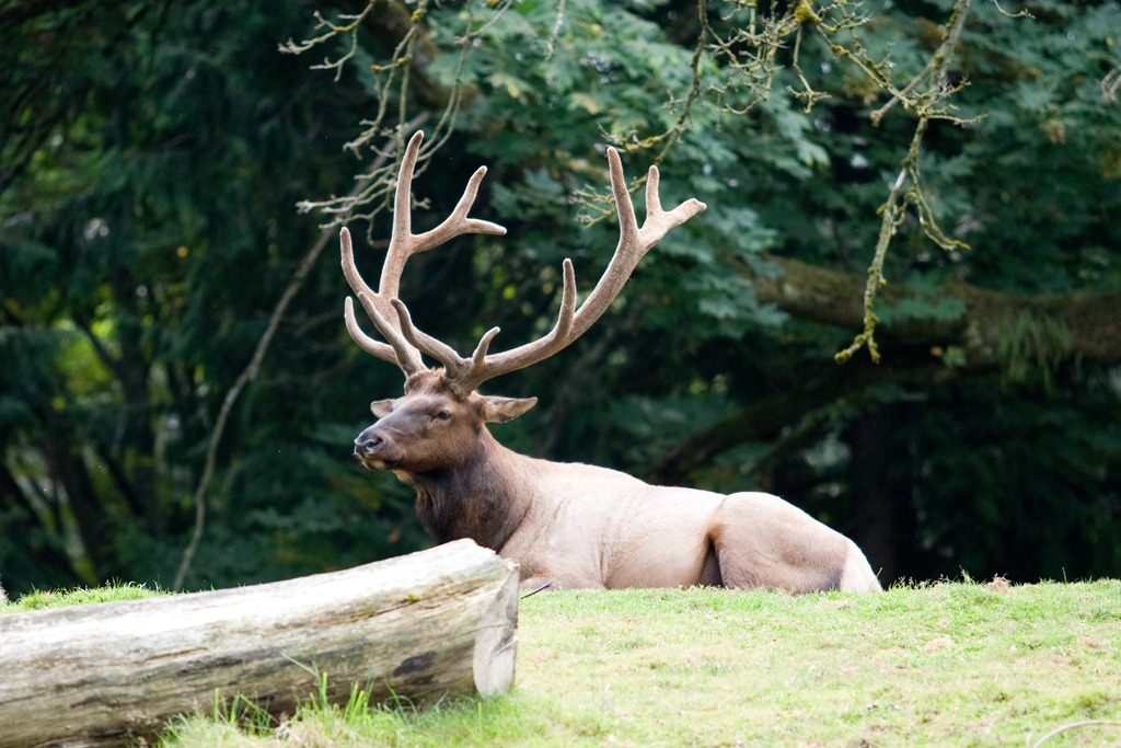 [20120818-IMG_89754.jpg]