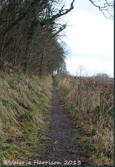 11-path 11-path