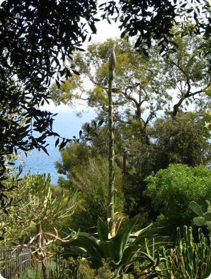 Jardín Botánico Hanbury10 Giardini botanici Hanbury10