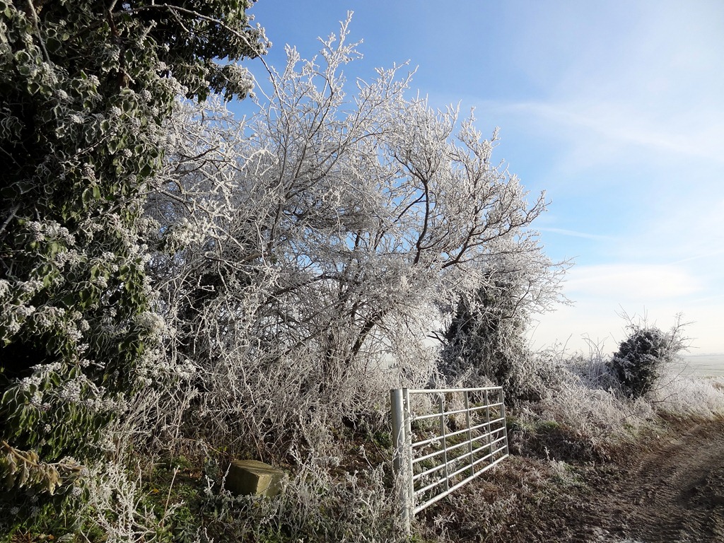 [DSC04781%255B6%255D.jpg]