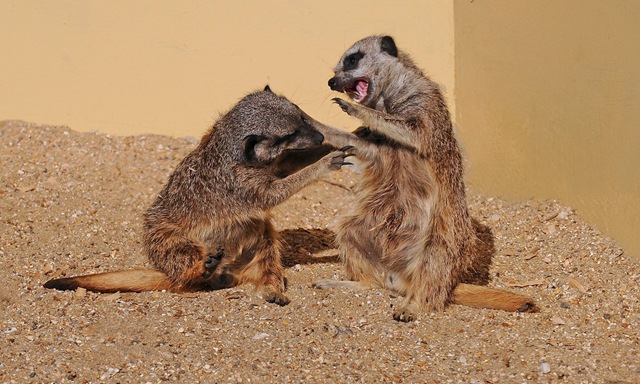 [DSC_0353-email%255B6%255D.jpg]