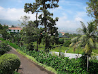 The driveway of the villa