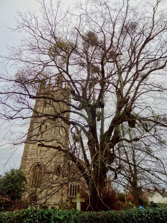 [DSC00794-975x13004.jpg]