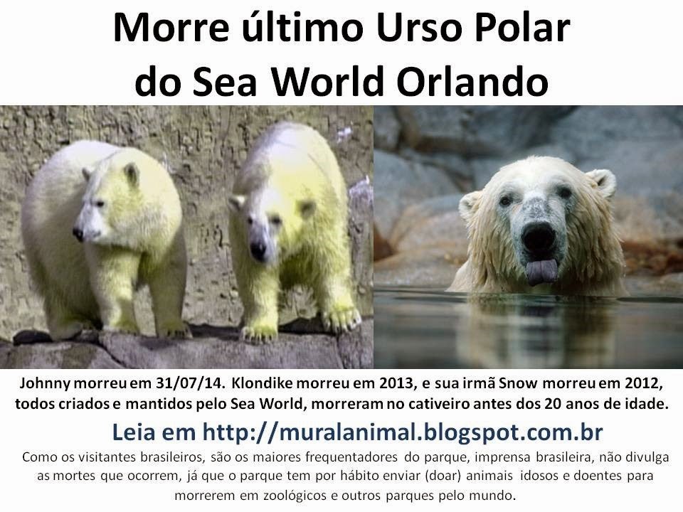 [Morre%2520johnny%2520Urso%2520Polar%255B3%255D.jpg]