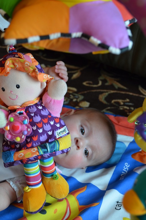 [DSC_4937%255B8%255D.jpg]