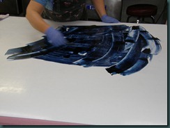 PA030166 PA030166